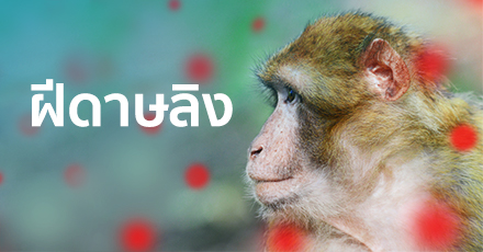 โรคฝีดาษลิง  (Monkeypox)