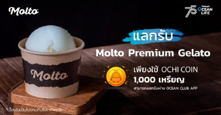 แลกรับไอศกรีม Molto Premium gelato 1 ถ้วย
