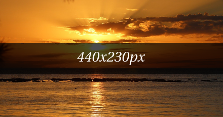 oceanlife-love-protect 77/7